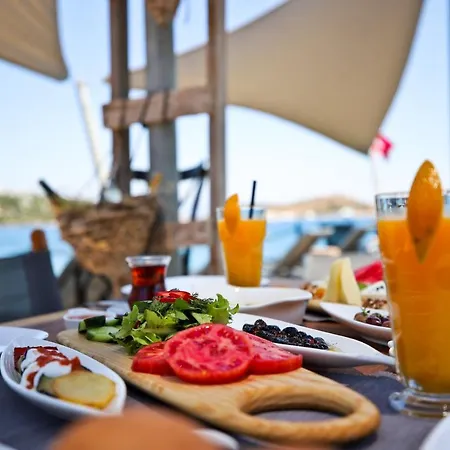 Otel Elista & 3*