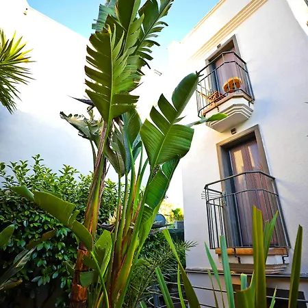 Elista & מלון 3*