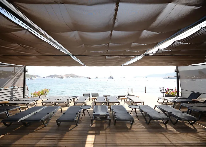 Hotel Elista & 3*