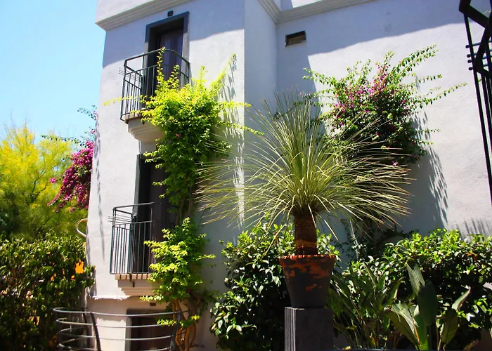 Hotel Elista & 3*