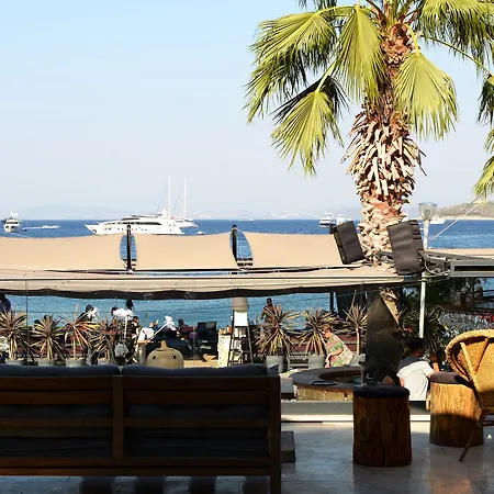 Elista & Göltürkbükü