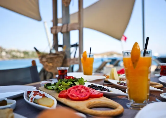 Hotel Elista & 3*
