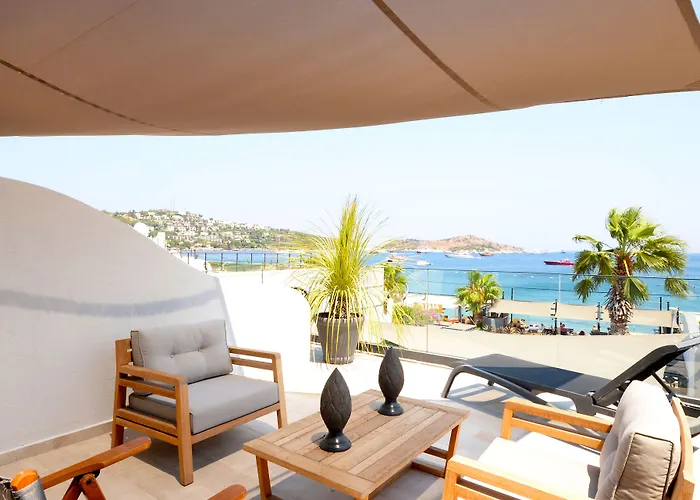 Hotel Elista & 3*
